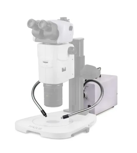 MAGUS CLI18T Холодный свет с двойным световодом