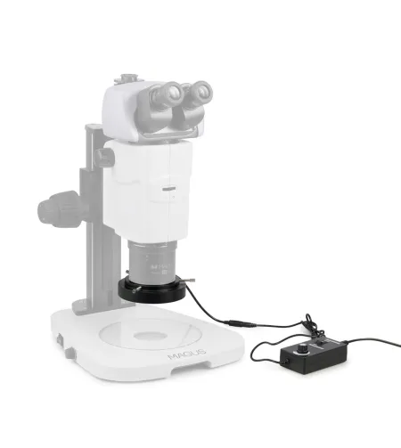 MAGUS LED RL18T gredzenveida gaisma