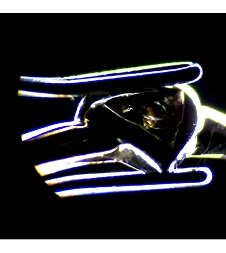 MAGUS Stereo D7T BASE Digital Stereomicroscope