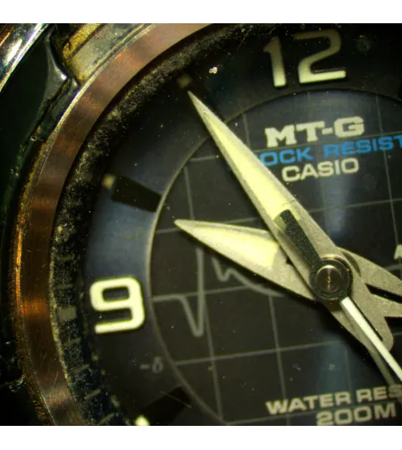 MAGUS Stereo D8T BASE Digital Stereomicroscope