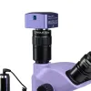 MAGUS Stereo D8T PLUS Digital Stereomicroscope