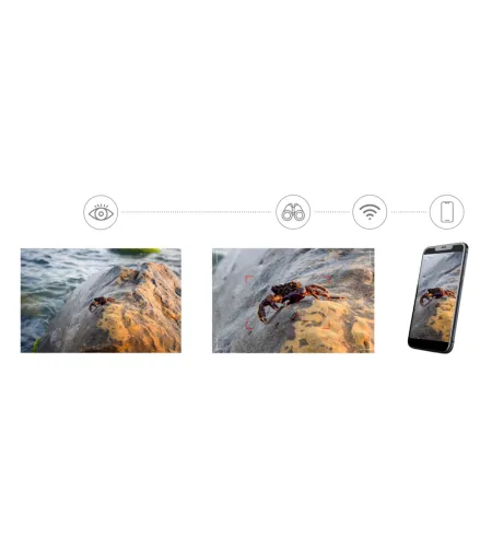 Levenhuk Kelvin Snap ED 8x42 digitālais fotomonoklis