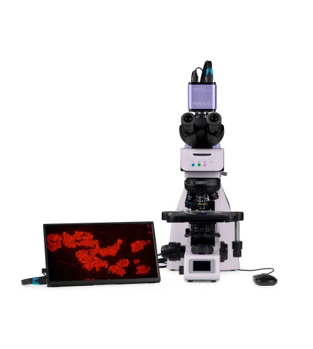 MAGUS Lum D460L LCD fluorescences digitālais mikroskops