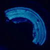 MAGUS Lum 460L fluorescences mikroskops