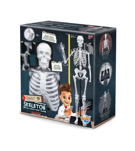 Buki Скелет 85 см