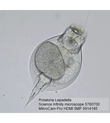 BRESSER MikroCam PRO HDMI камера 5MP