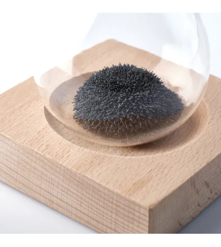 AstroMedia Magnētiskais olu taimeris