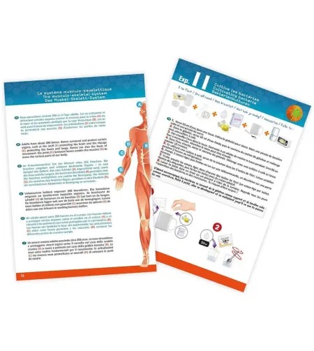 Набор для экспериментов, Buki, Человеческое Тело