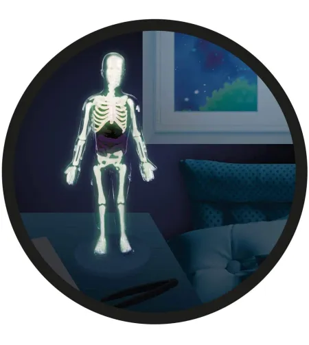 Набор для экспериментов, Buki, Человеческое Тело