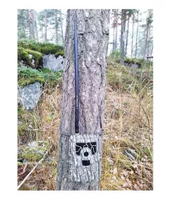 Juhtmeta (4G, 3G, 2G) rajakaamera jõumastiantenn 39 cm NITEforce