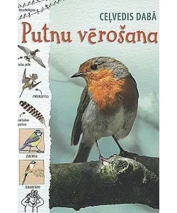 Nature Guide: Bird Watching