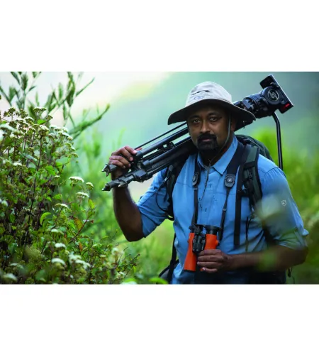 Бинокль Swarovski NL PURE 8X32 ЗЕЛЕНО-ЧЕРНЫЙ