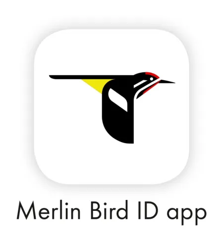 Swarovski monoklis dG 8X25 Wi-Fib