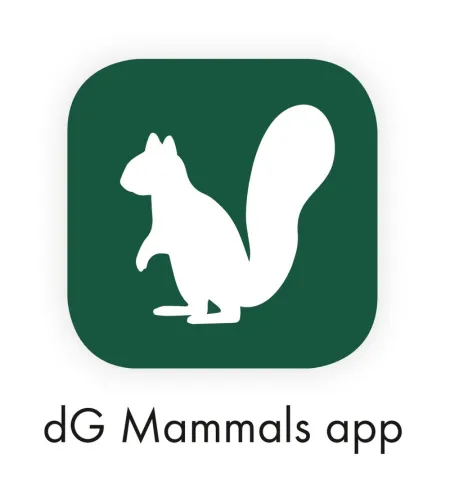 Swarovski monoklis dG 8X25 Wi-Fib