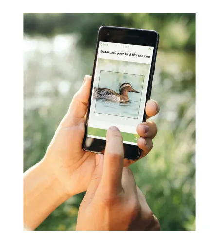 Swarovski monoklis dG 8X25 Wi-Fib