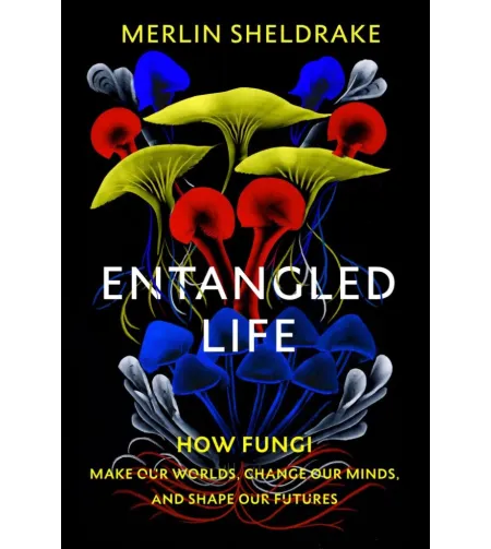 (ENG)Samezglota dzīve: kā sēnes veido mūsu pasauli, maina mūsu domas un veido mūsu nākotni