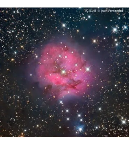 "Omegon Ritchey-Chretien Pro RC 203/1624 OTA