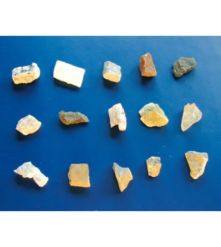 Стереомикроскоп Biolux ICD 20x BRESSER