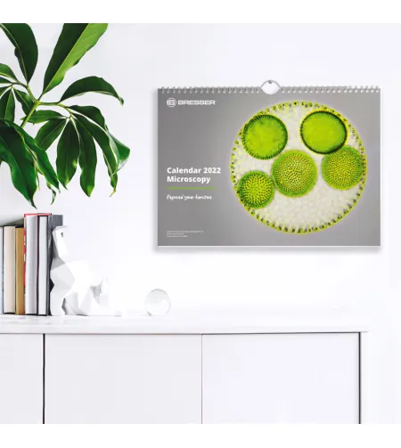 BRESSER kalender 2022 Mikroskoopia