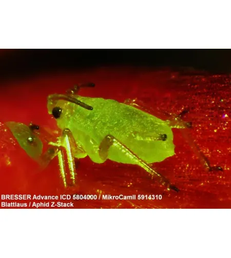 Stereo-Microscope Bresser Advance ICD 10X-160X Zoom