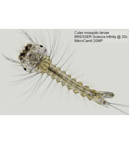 Камера микроскопа Bresser MikroCam II 20 MP 1''