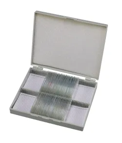 Подготовленные слайды Bresser: гистология