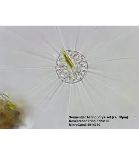 BRESSER Researcher Trino 40-1000x Microscope