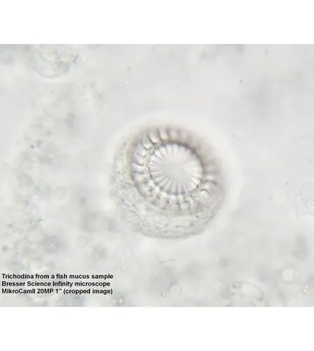 Mikroskops Bresser Science Infinity