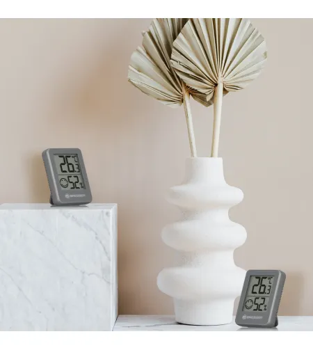 BRESSER Temeo Hygro Indicator Набор из 6 предметов Термо-/гигрометр серый