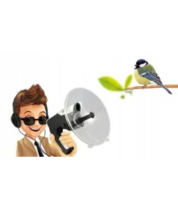 Buki Skaņas pastiprinātājs