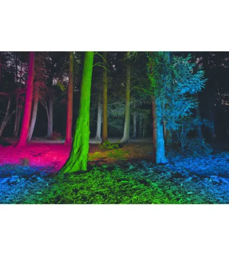 Lukturis  LED LENSER P7 QC