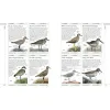 Complete Birds of Britain and Europe, Hume Rob