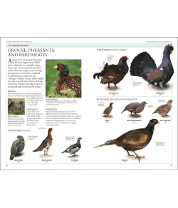 Birds of Britain and Europe: The Definitive Photographic Field Guide, HUME ROB