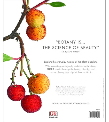 Flora: Inside the Secret World of Plants