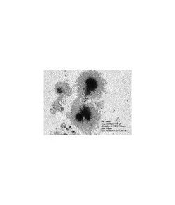 Astrozap AstroSolar telescope solar filter, 90mm-100mm