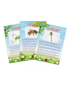 Kukaiņu putekļu sūcējs, Buki