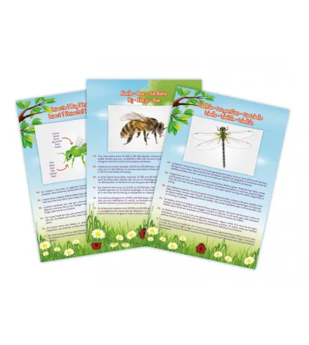 Kukaiņu putekļu sūcējs, Buki