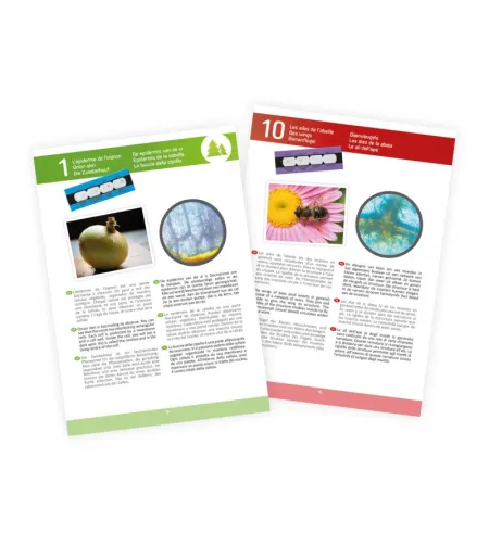 Microscope, Buki, 15 experiments