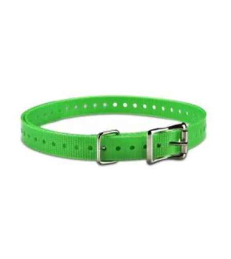 ACC,COLLAR STRAP,3/4",SQ-BUCKLE,TUCK-RING,NICKEL,GREEN