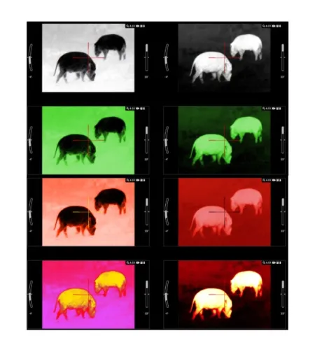 ATN MARS LTV 640 2-6x īpaši viegls termālais šautenes tēmeklis