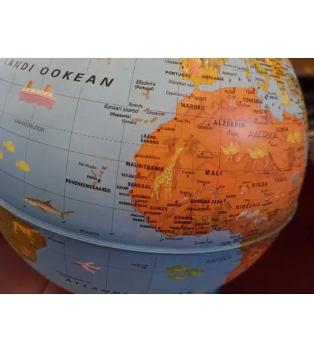 Maakera Arca (EE) 25cm/10", Nova Rico