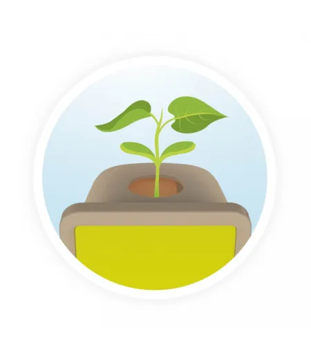 Buki mazie dzinumi - 100% ražoti Francijā