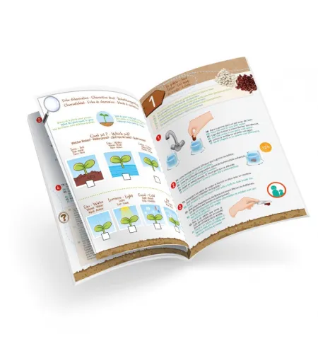 Buki mazie dzinumi - 100% ražoti Francijā