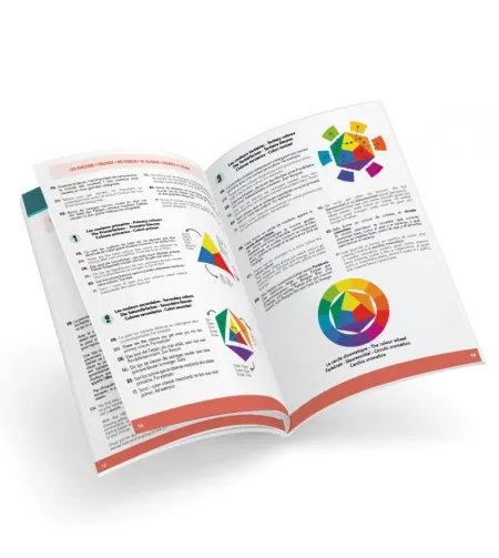 Professionaalne stuudiokunstnik, Buki