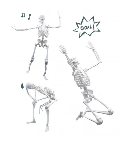 Skeleton 45 cm, Buki