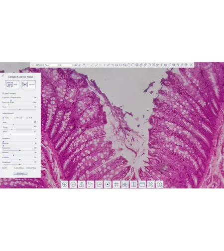 Camera ToupCam XCAMLITE4K 8MPA