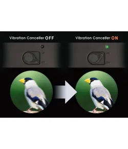 Бинокль Vixen с системой стабилизации изображения Atera II ED 16x50 WP