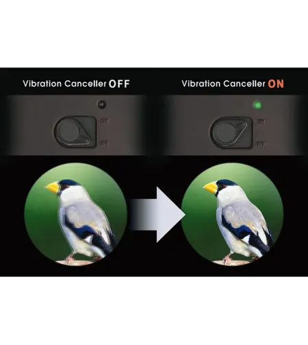 Бинокль Vixen с системой стабилизации изображения Atera II ED 16x50 WP