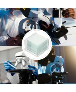 100 tk mikroskoopilisi katteslaide 20x20 mm