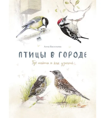 Raamat Птицы в городе. Где найти и как узнать